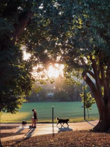Pitshanger Park Greenford